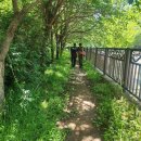 인천둘레길 4코스 완전정복! 세일고등학교 원적산 생태통로 출발~ 부평삼거리역 도착 함봉산 코스안내