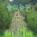 솔잎효소(백두대간금강소나무) 솔순 솔잎 솔잎환 판매 이미지