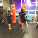 크로스핏 군산 이미지