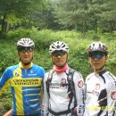 숨은진주 이미지