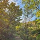 남동구견인차량보관소 이미지