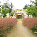 수수파크 이미지