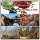 공유숲 | [공지] 방탄소년단이 사랑한 늦가을 '서후리숲'(ft:서후리숲 탐방 후기 공유)