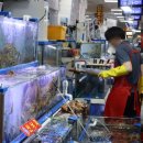 바오킹 회수산 | 노량진수산시장 맛집 88수산 대게 킹크랩 모듬회 가격 추천