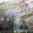 신흥약수터 이미지