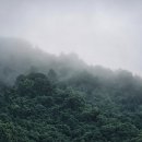 차돌체육관 이미지