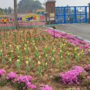 아름다운 한글 서예 이미지