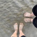 남면파출소 화장실 | [충남/태안] 2번째 차박 여행 기록 (숨겨진 차박지 추천)