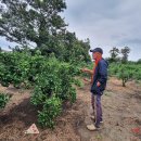 정진수농장 이미지