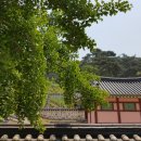 안곡서원 이미지