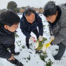 김성만농장 이미지