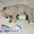 오늘도한잔 이미지