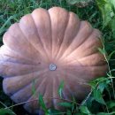 맷돌농장 이미지