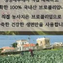 통일가든 이미지