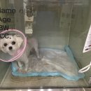 지중해동물병원 이미지