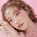 플라워 팔레트 이미지