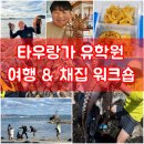 내일 화요일 많은 분들이 요청하신 여행+채집 워크숍 합니다^^ [뉴질랜드 조기유학 타우랑가 유학원] 이미지