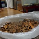 느릅농장 이미지