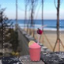 강릉 카페 추천 | 양양 파마씨, 순두부젤라또, 툇마루, 초당 커피정미소, 산토스커피