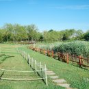 서해대로94번길 이미지