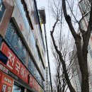 맑은물소리치과 이미지