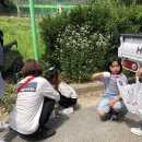 진잠초등학교 이미지