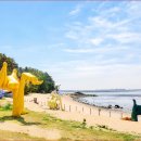 "19년 공사 끝에 드디어 7월 14일 전면 개통합니다" 3.2km 해상교량 건너가는 섬 이미지