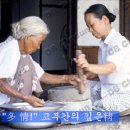 효영농장 Daum카페