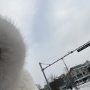 외암로 | 아산 온양온천역 두쫀쿠맛집 혜와영 평일 오픈런 두바이 초코쿠키 내돈내산후기