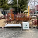 커피팀버 장유 | 김해 장유 카페 커피팀버 후기 아인슈페너 맛집 주차장 굿