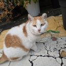 (주)아톰릭스랩 | [30] 비극에 나올지 희극에 나올지