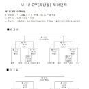 2015 화랑대기 전국 유소년축구대회 U-12 2부(화랑컵) 토너먼트 일정표 이미지