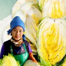 박혜정농장 이미지