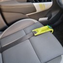 정성의료기상사 | 임신기록]임신중기/갈색혈/자궁경부길이/태아성별/임당검사/임신성당뇨/임신중기증상