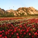 대산임업 - 진부면 | 대산임업