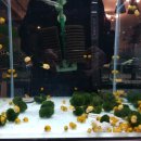 (주)아쿠아링크 이미지