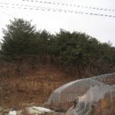 궁촌리_강릉