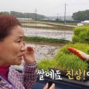 해뜨는농원 이미지