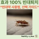 세븐동물병원 | 빈대, 빈대약, 빈대퇴치, 기피제, 페스트세븐, bedbug