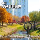 시민공원 남문 인근-1 | 부산시민공원 단풍 명소 피크닉 가을 산책 가볼만한곳