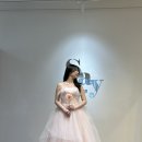 세이헤어 | 인천 ‘세이웨딩’ 야외스냅 드레스 대여 후기