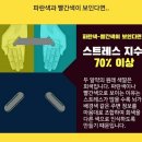 현재 스트레스 지수 테스트 ㄷㄷ 이미지