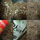 [요리체험단]정월 대보름 오곡밥과 취나물,곤드레나물 조리법 이미지