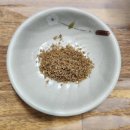 오가피가든 이미지