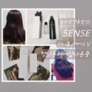 부여타이어오일샵 | 올리브영추천 5ENSE 헤어폼 /헤어오일 후기 청담동헤어샵에서사용중인 스타일링 에 적합해요!