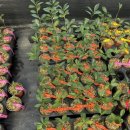 봉관농장 이미지