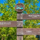 부여(사비)-07 Daum카페