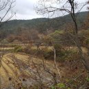 내서면 노류리 이미지