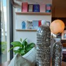 숨비기낭 이미지