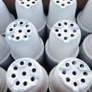 태산농장 1 이미지